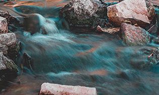 Colon Hydrotherapy in Austin, Texas 